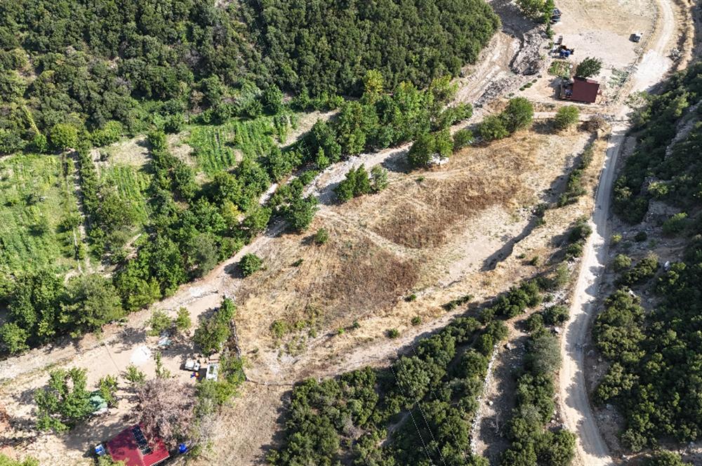 CANKURTARAN'DA FIRSAT ANAYOLA YAKIN TARLA