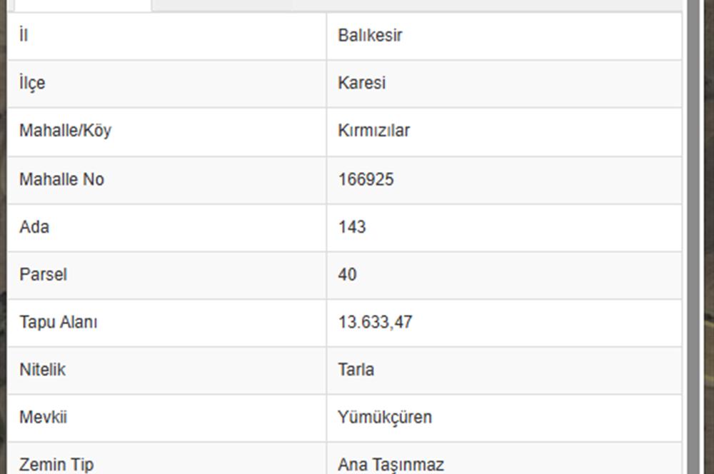 C21 BAL'DAN KIRMIZILAR MAH YAKIN, YOLU OLAN, SATILIK TARLA