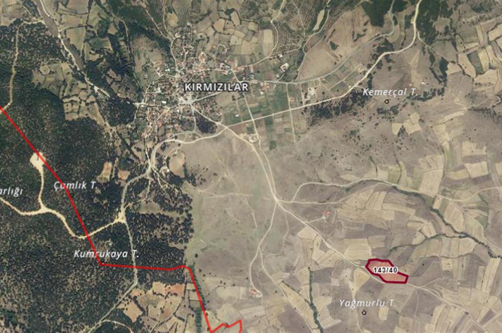 C21 BAL'DAN KIRMIZILAR MAH YAKIN, YOLU OLAN, SATILIK TARLA