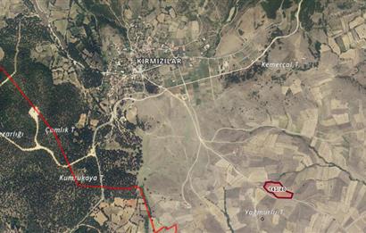 C21 BAL'DAN KIRMIZILAR MAH YAKIN, YOLU OLAN, SATILIK TARLA