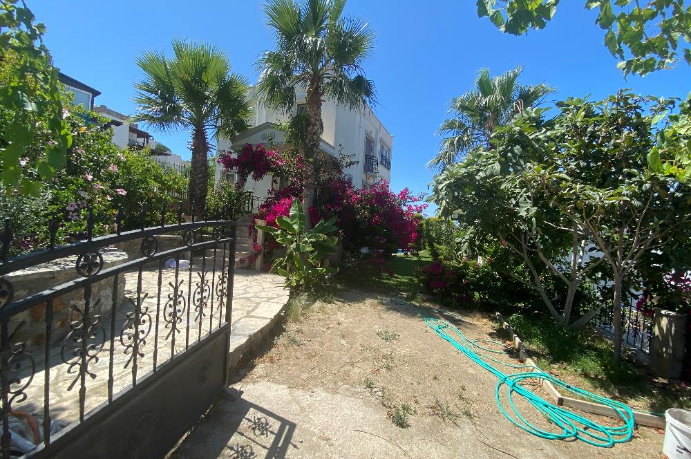 Bodrum Gümüşlük Kiralık Eşyalı Müstakil Havuzlu Villa
