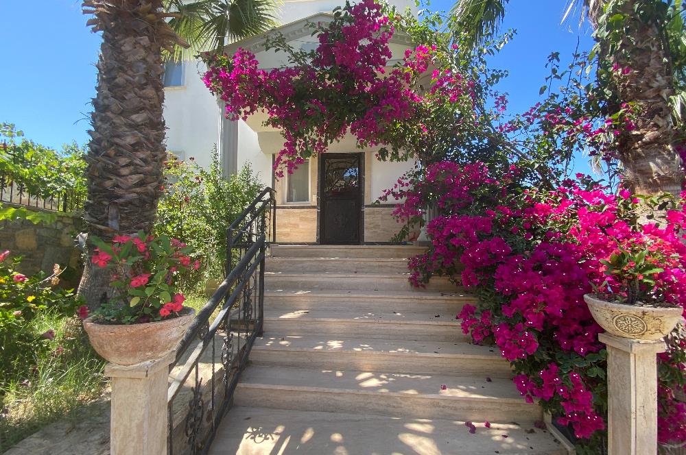Bodrum Gümüşlük Kiralık Eşyalı Müstakil Havuzlu Villa