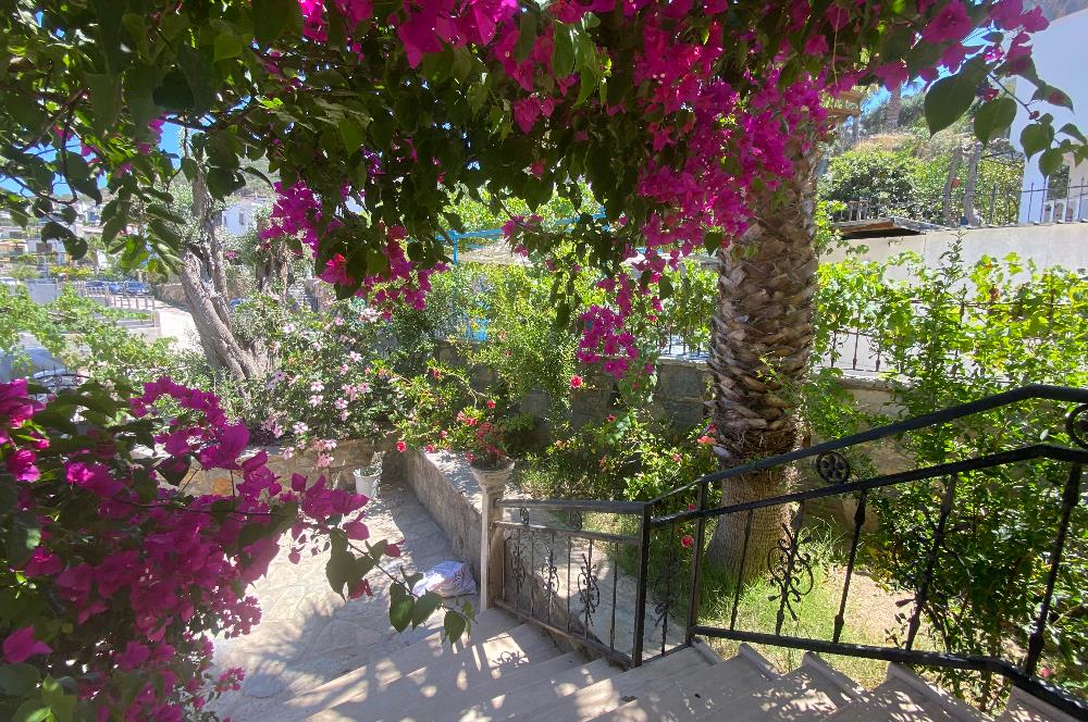 Bodrum Gümüşlük Kiralık Eşyalı Müstakil Havuzlu Villa