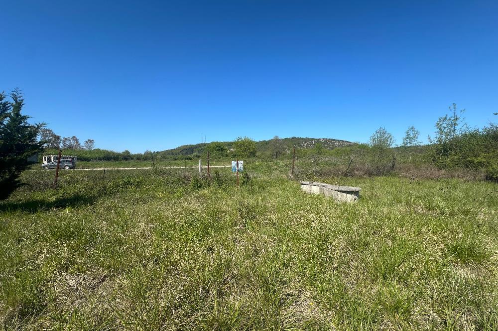 Şile Kurfallı'da 1900m² Satılık Arsa