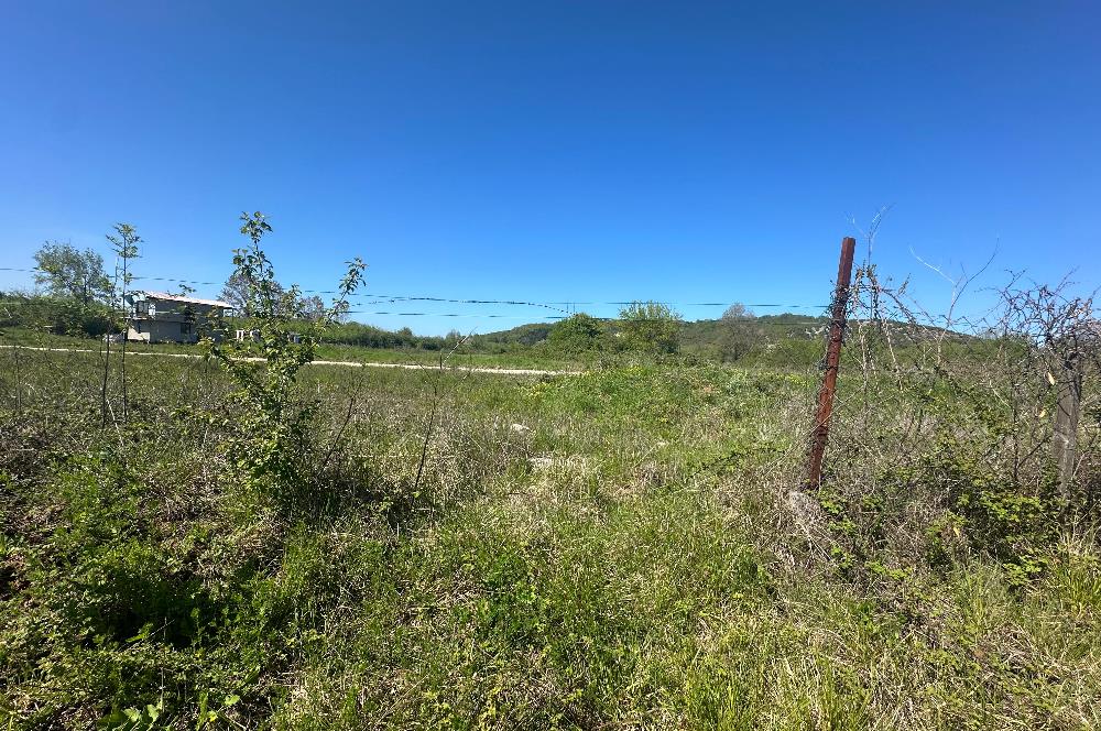 Şile Kurfallı'da 1900m² Satılık Arsa