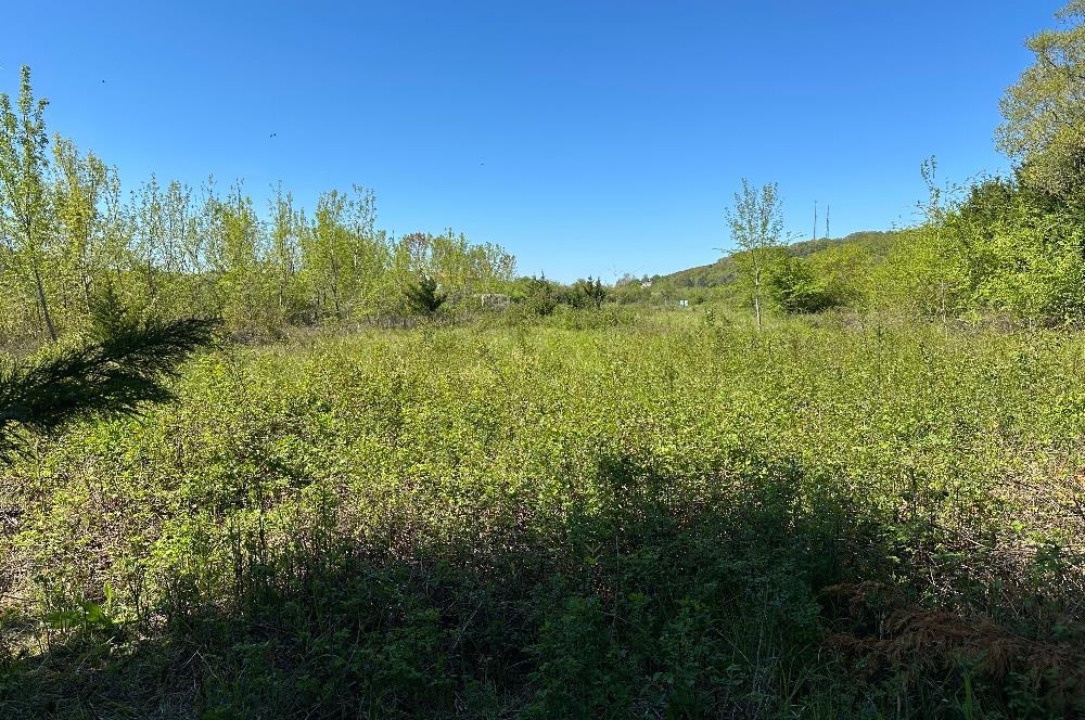 Şile Kurfallı'da 1900m² Satılık Arsa