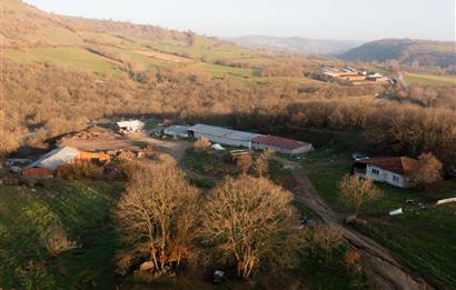 C21 WİNNER ARMUTALAN'DA 30.000 m² SATILIK ÇİFTLİK ARAZİSİ