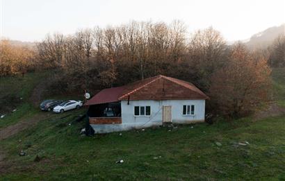 C21 WİNNER ARMUTALAN'DA 30.000 m² SATILIK ÇİFTLİK ARAZİSİ