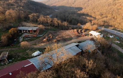 C21 WİNNER ARMUTALAN'DA 30.000 m² SATILIK ÇİFTLİK ARAZİSİ