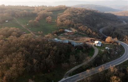 C21 WİNNER ARMUTALAN'DA 30.000 m² SATILIK ÇİFTLİK ARAZİSİ