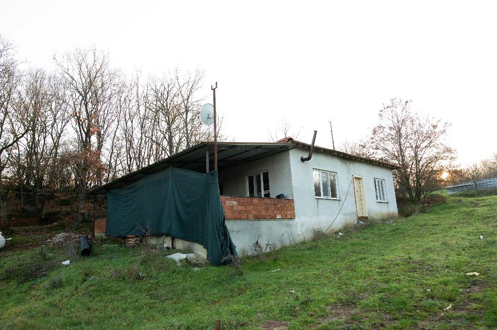 C21 WİNNER ARMUTALAN'DA 30.000 m² SATILIK ÇİFTLİK ARAZİSİ