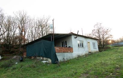 C21 WİNNER ARMUTALAN'DA 30.000 m² SATILIK ÇİFTLİK ARAZİSİ