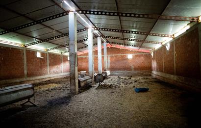 C21 WİNNER ARMUTALAN'DA 30.000 m² SATILIK ÇİFTLİK ARAZİSİ