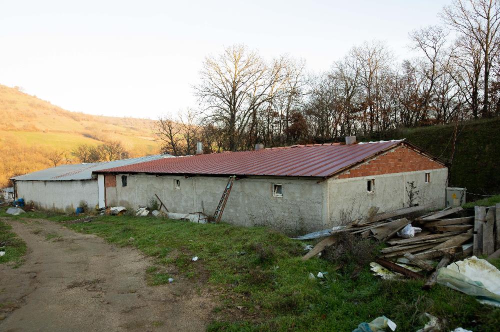 C21 WİNNER ARMUTALAN'DA 30.000 m² SATILIK ÇİFTLİK ARAZİSİ