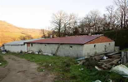 C21 WİNNER ARMUTALAN'DA 30.000 m² SATILIK ÇİFTLİK ARAZİSİ