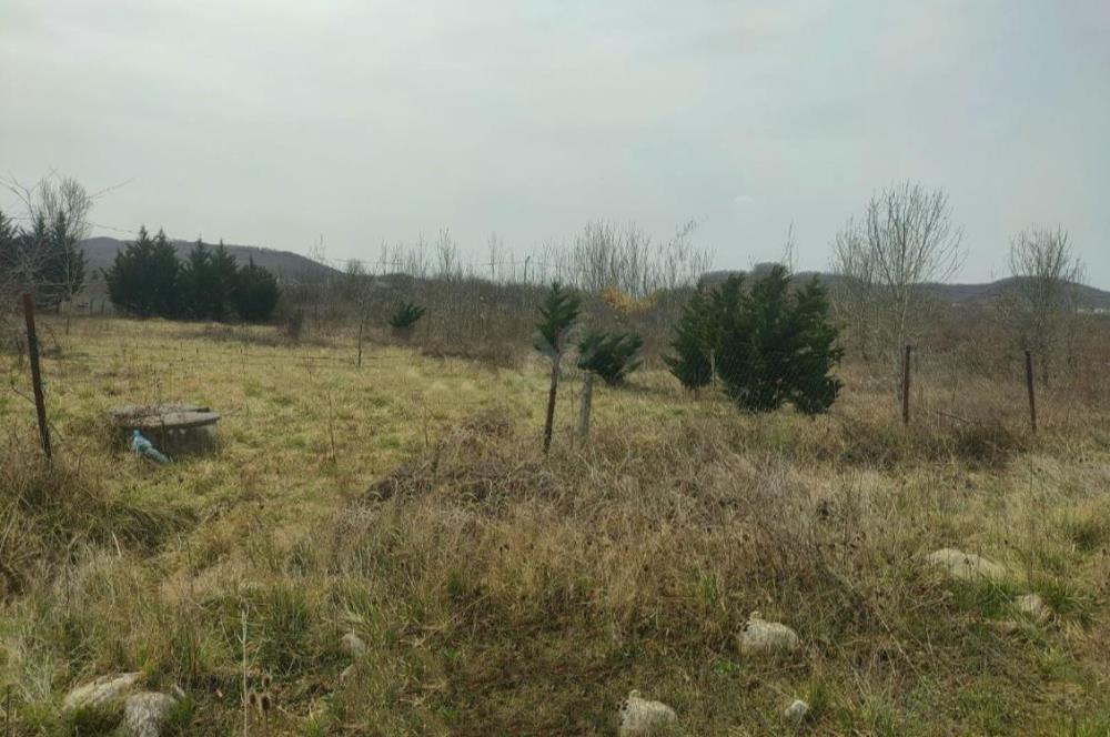Şile Kurfallı'da 1900m² Satılık Arsa