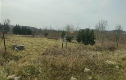 Şile Kurfallı'da 1900m² Satılık Arsa