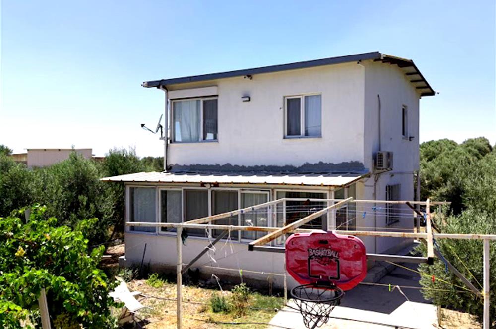 Foça Gerenköy'de 12 Dönüm Zeytinlik ve İki Katlı Müstakil Ev