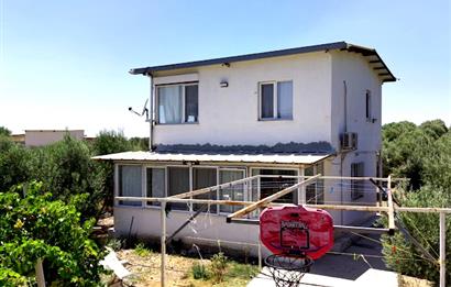 Foça Gerenköy'de 12 Dönüm Zeytinlik ve İki Katlı Müstakil Ev
