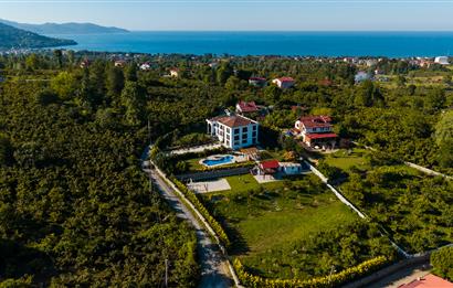 Century 21'den Efirli'de Eşi Benzeri Olmayan Satılık Malikane..