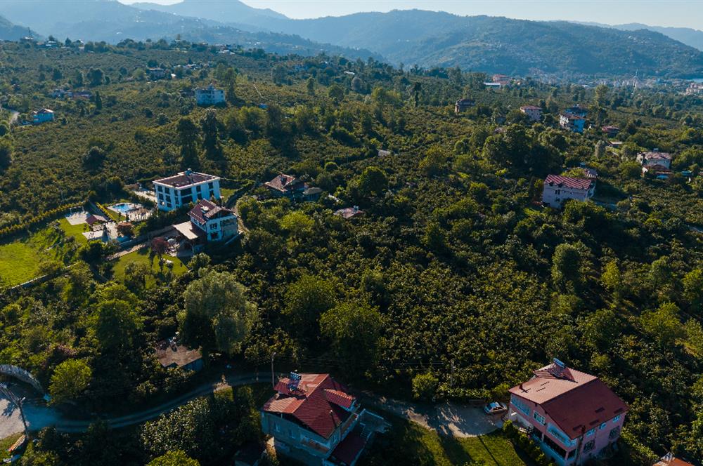 Century 21'den Efirli'de Eşi Benzeri Olmayan Satılık Malikane..