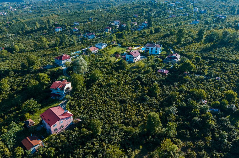 Century 21'den Efirli'de Eşi Benzeri Olmayan Satılık Malikane..