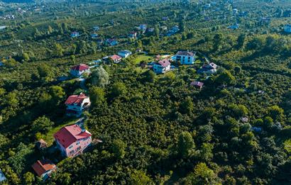 Century 21'den Efirli'de Eşi Benzeri Olmayan Satılık Malikane..