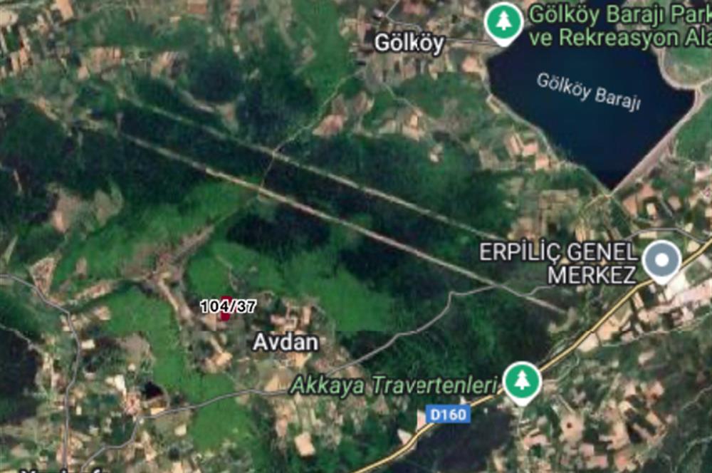 C21 TERAS - BOLU MERKEZ AVDAN KÖYÜ ORMANA SINIR 12 DÖNÜM ARAZİ
