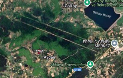C21 TERAS - BOLU MERKEZ AVDAN KÖYÜ ORMANA SINIR 12 DÖNÜM ARAZİ