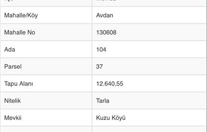 C21 TERAS - BOLU MERKEZ AVDAN KÖYÜ ORMANA SINIR 12 DÖNÜM ARAZİ