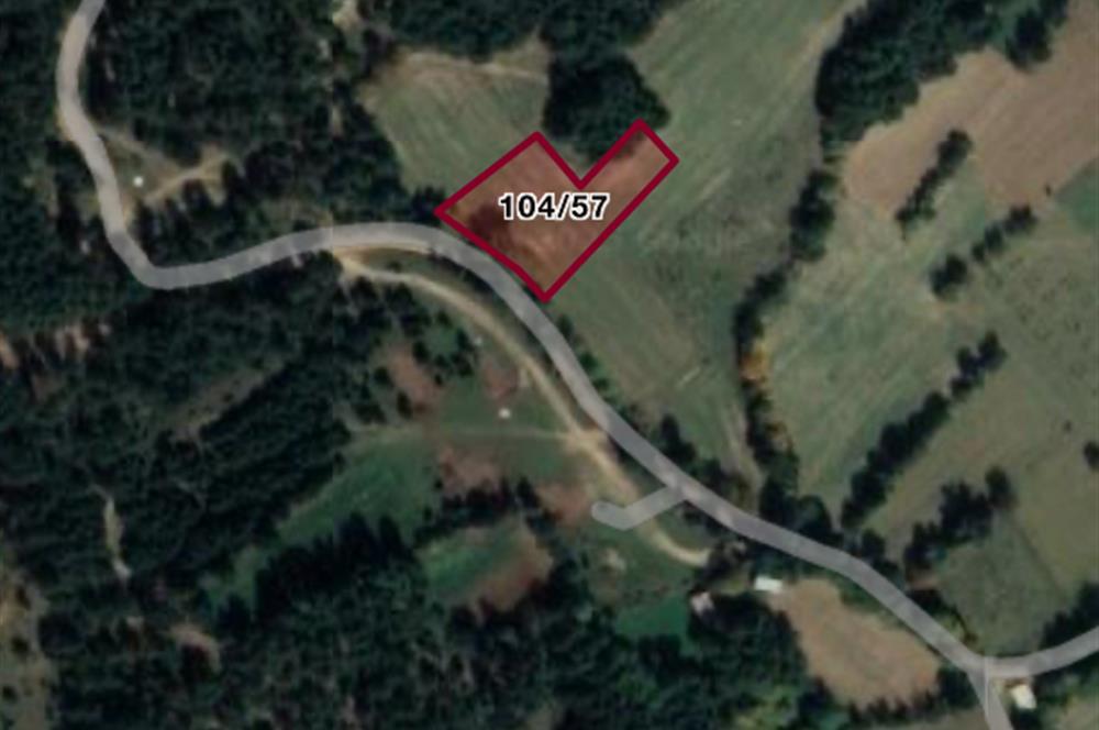 C21 TERAS - BOLU ÇÖMLEKÇİLER 2379 m2 ARSA 0.15 EMSAL
