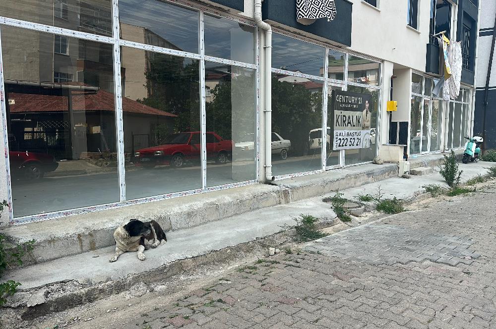 Century 21'den Kumbaşında Kiralık 450 m² Ticari Alan.