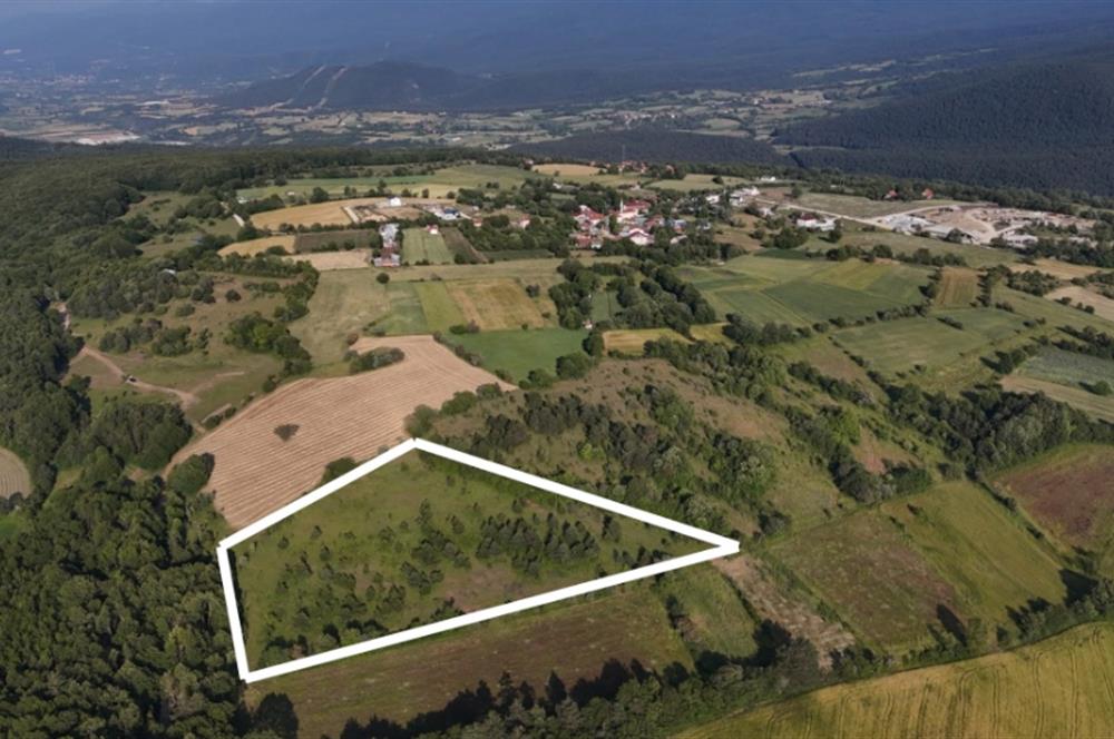 C21 TERAS - BOLU MERKEZ AVDAN KÖYÜ ORMANA SINIR 12 DÖNÜM ARAZİ
