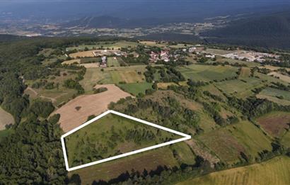 C21 TERAS - BOLU MERKEZ AVDAN KÖYÜ ORMANA SINIR 12 DÖNÜM ARAZİ