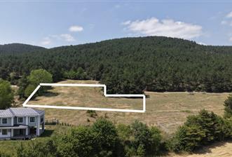 C21 TERAS - BOLU ÇÖMLEKÇİLER 2379 m2 ARSA 0.15 EMSAL