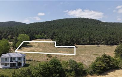 C21 TERAS - BOLU ÇÖMLEKÇİLER 2379 m2 ARSA 0.15 EMSAL