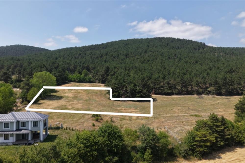 C21 TERAS - BOLU ÇÖMLEKÇİLER 2379 m2 ARSA 0.15 EMSAL