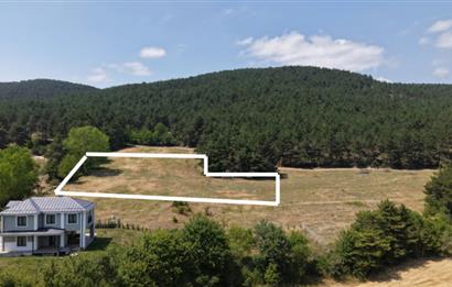 C21 TERAS - BOLU ÇÖMLEKÇİLER 2379 m2 ARSA 0.15 EMSAL