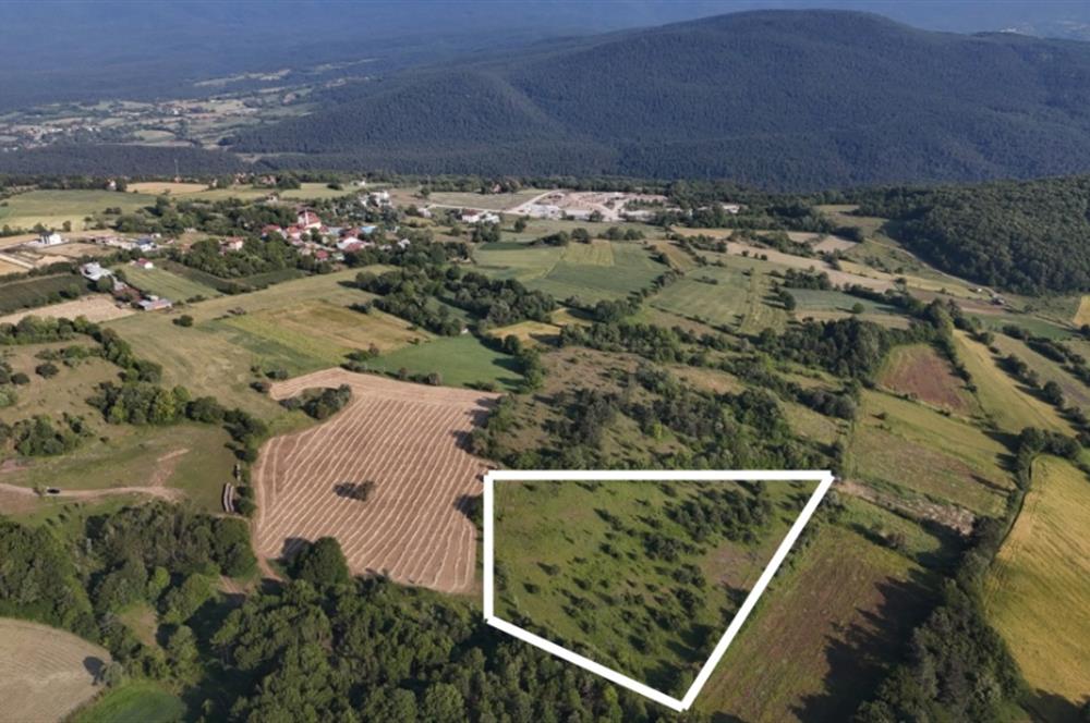 C21 TERAS - BOLU MERKEZ AVDAN KÖYÜ ORMANA SINIR 12 DÖNÜM ARAZİ