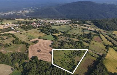 C21 TERAS - BOLU MERKEZ AVDAN KÖYÜ ORMANA SINIR 12 DÖNÜM ARAZİ