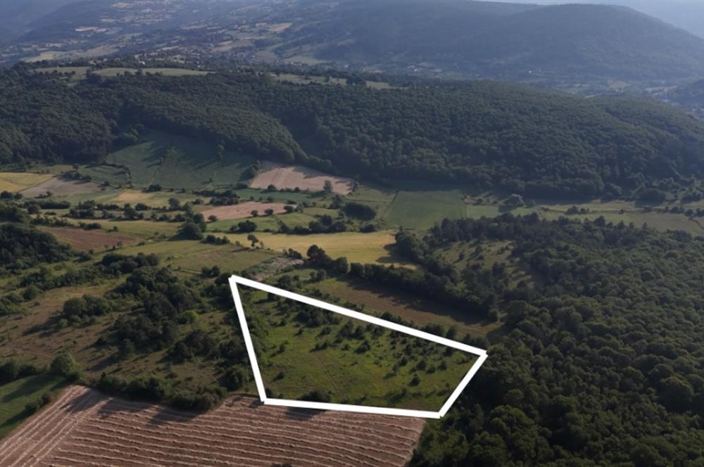 C21 TERAS - BOLU MERKEZ AVDAN KÖYÜ ORMANA SINIR 12 DÖNÜM ARAZİ