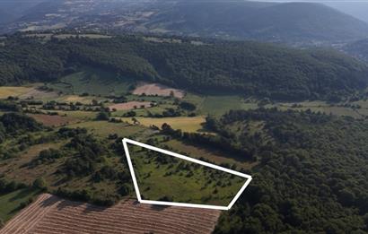 C21 TERAS - BOLU MERKEZ AVDAN KÖYÜ ORMANA SINIR 12 DÖNÜM ARAZİ