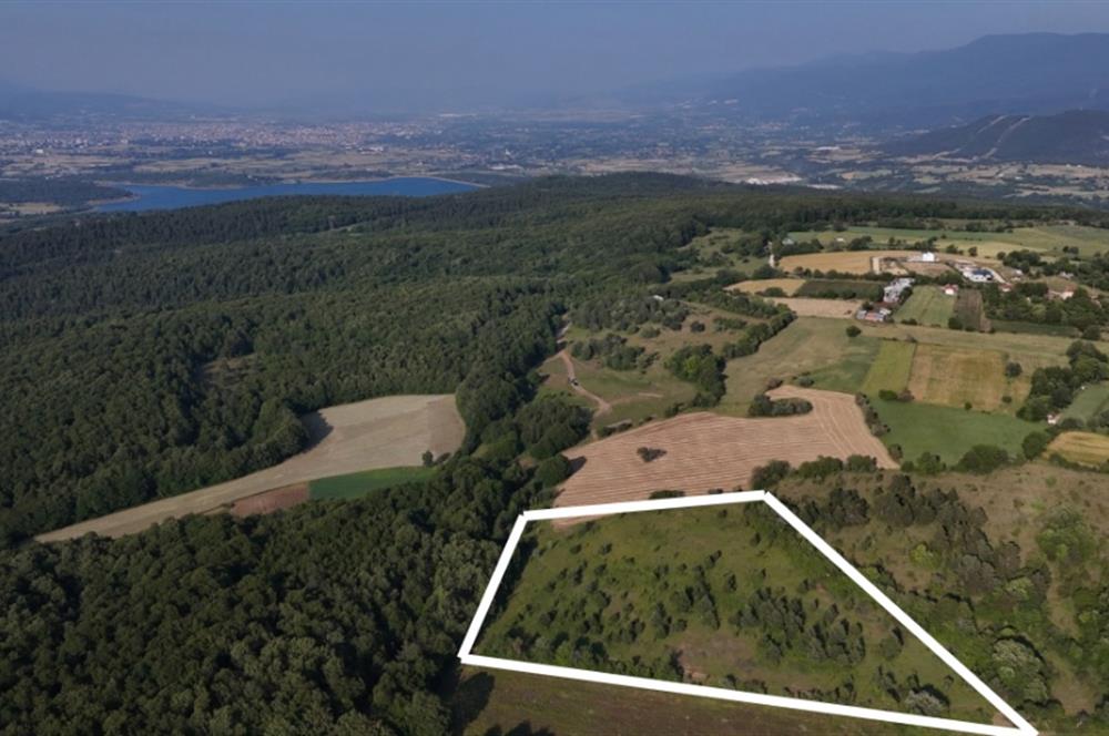 C21 TERAS - BOLU MERKEZ AVDAN KÖYÜ ORMANA SINIR 12 DÖNÜM ARAZİ