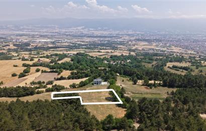 C21 TERAS - BOLU ÇÖMLEKÇİLER 2379 m2 ARSA 0.15 EMSAL