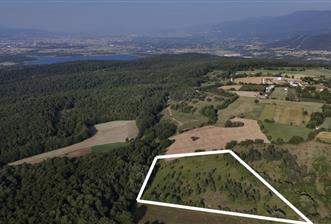 C21 TERAS - BOLU MERKEZ AVDAN KÖYÜ ORMANA SINIR 12 DÖNÜM ARAZİ