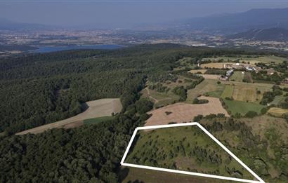 C21 TERAS - BOLU MERKEZ AVDAN KÖYÜ ORMANA SINIR 12 DÖNÜM ARAZİ