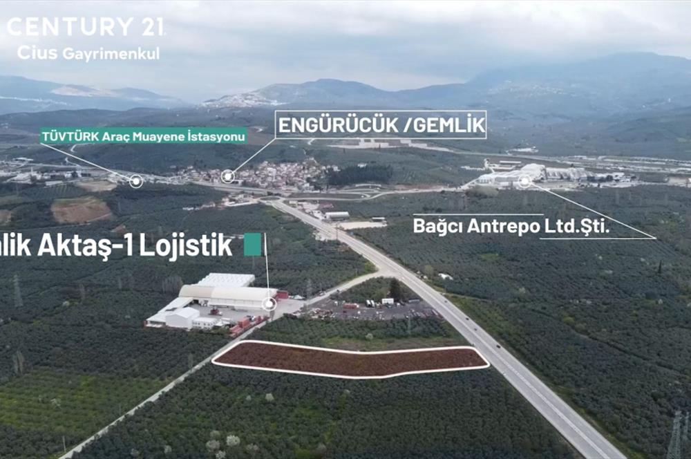 C21 Cius; Engürücük'te Depolama/Lojistik Alanlarında Zeytinlik