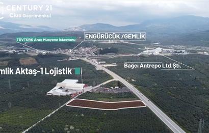 C21 Cius; Engürücük'te Depolama/Lojistik Alanlarında Zeytinlik