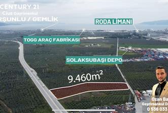 C21 Cius; Engürücük'te Depolama/Lojistik Alanlarında Zeytinlik