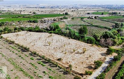 Century 21 Net'ten Honaz Kızılyer'de 7300 m2 Kiraz Bahçesi